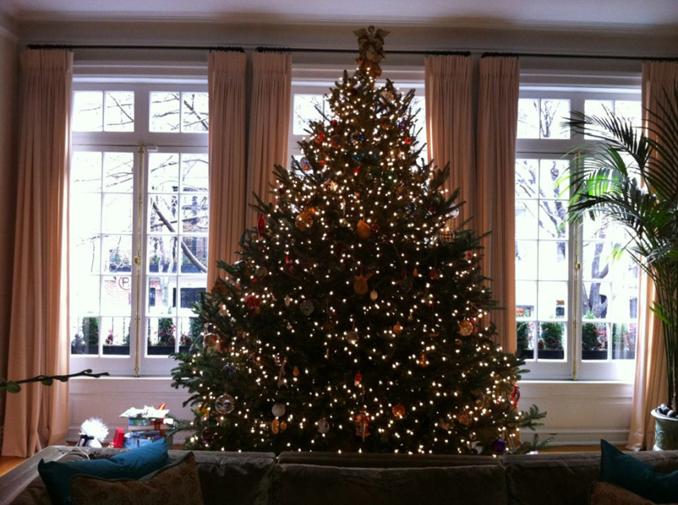 christmas_tree_davis
